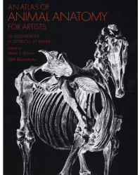 An Atlas of Animal Anatomy for Artists - Wilhelm Ellenberger Frances A Dav 