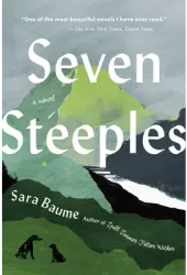 Seven Steeples - Sara Baume Author 
