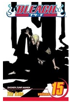 Bleach Volume 15 - Tite Kubo 