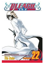Bleach Volume 22 - Tite Kubo 