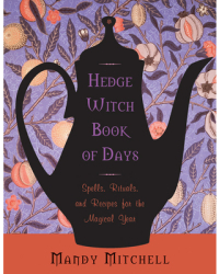 Hedgewitch Book of Days Spells Rituals and Recipes for the Magical Year - Mandy Mitchell Author 