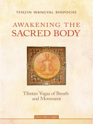 Awakening the Sacred Body Tibetan Yogas of Breath and Movement - Tenzin Wangyal Rinpoche Author 