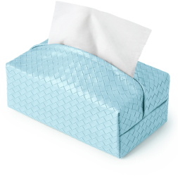 Cutie suport servetele APO® Piele pu 25x13x8 cm Albastru deschis 