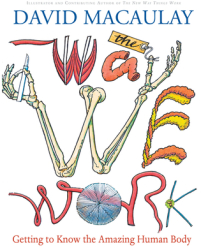 The Way We Work Getting to Know the Amazing Human Body - David Macaulay 