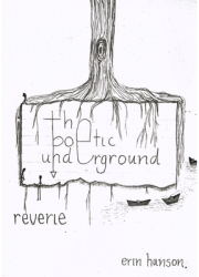 Thepoeticunderground - Erin Hanson Author 