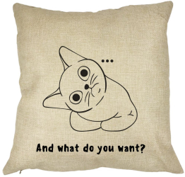 Perna Decorativa And what do you want 40x40 cm Husa Detasabila Burduf 