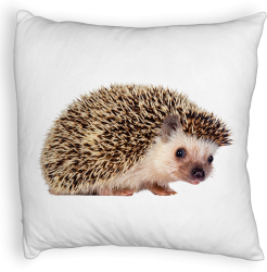 Perna Decorativa Fluffy Model Arici 40x40 cm Alba Husa Detasabila Burduf 