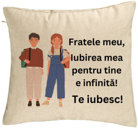 Perna Decorativa Fratele meu 1 40x40 cm Bej Husa Detasabila Burduf 
