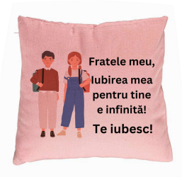 Perna Decorativa Fratele meu 1 40x40 cm Roz Husa Detasabila Burduf 