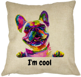 Perna Decorativa Im cool Colorful 40x40 cm Husa Detasabila Burduf 