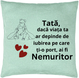 Perna Decorativa Model pentru Tata 1 40x40 cm Verde Menta Husa Detasabila Burduf 
