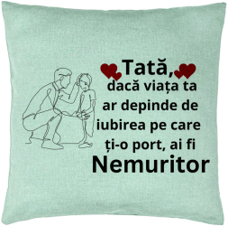 Perna Decorativa Model pentru Tata 3 40x40 cm Verde Menta Husa Detasabila Burduf 