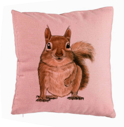 Perna Decorativa Model Veverita 40x40 cm Roz Husa Detasabila Burduf 