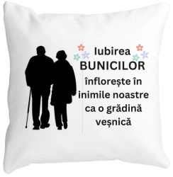 Perna Decorativa pentru Bunici 1 40x40 cm Alba Mata Husa Detasabila Burduf 