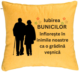 Perna Decorativa pentru Bunici 1 40x40 cm Galben Husa Detasabila Burduf 