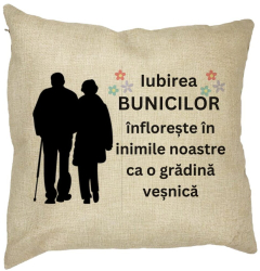 Perna Decorativa pentru Bunici 1 40x40 cm Husa Detasabila Burduf 
