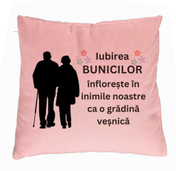 Perna Decorativa pentru Bunici 1 40x40 cm Roz Husa Detasabila Burduf 