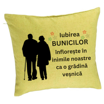 Perna Decorativa pentru Bunici 1 40x40 cm Verde Husa Detasabila Burduf 