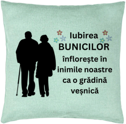Perna Decorativa pentru Bunici 1 40x40 cm Verde Menta Husa Detasabila Burduf 