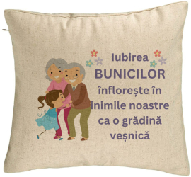 Perna Decorativa pentru Bunici 2 40x40 cm Bej Husa Detasabila Burduf 