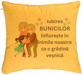 Perna Decorativa pentru Bunici 2 40x40 cm Galben Husa Detasabila Burduf 