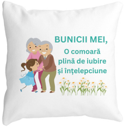 Perna Decorativa pentru Bunici 3 40x40 cm Alba Mata Husa Detasabila Burduf 
