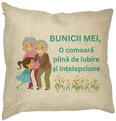 Perna Decorativa pentru Bunici 3 40x40 cm Husa Detasabila Burduf 