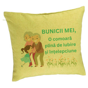 Perna Decorativa pentru Bunici 3 40x40 cm Verde Husa Detasabila Burduf 