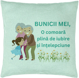 Perna Decorativa pentru Bunici 3 40x40 cm Verde Menta Husa Detasabila Burduf 