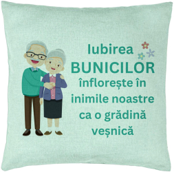 Perna Decorativa pentru Bunici 5 40x40 cm Verde Menta Husa Detasabila Burduf 