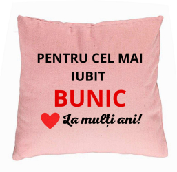 Perna Decorativa pentru Bunicul 3 40x40 cm Roz Husa Detasabila Burduf 