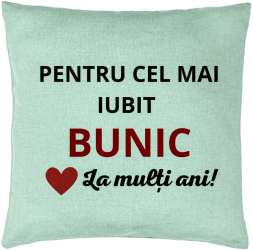 Perna Decorativa pentru Bunicul 3 40x40 cm Verde Menta Husa Detasabila Burduf 