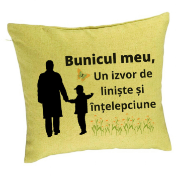Perna Decorativa pentru Bunicul 6 40x40 cm Verde Husa Detasabila Burduf 