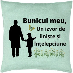 Perna Decorativa pentru Bunicul 6 40x40 cm Verde Menta Husa Detasabila Burduf 