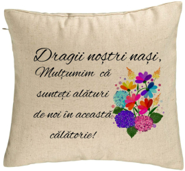 Perna Decorativa pentru Nasi 1 40x40 cm Bej Husa Detasabila Burduf 