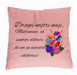Perna Decorativa pentru Nasi 1 40x40 cm Roz Husa Detasabila Burduf 