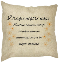 Perna Decorativa pentru Nasi 3 40x40 cm Husa Detasabila Burduf 