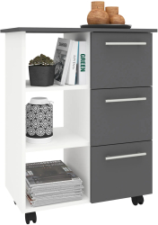 Corp Mobil haaus Loma 3 Sertare 3 Rafturi Antracit/Alb 64 x 35 x 85 cm 