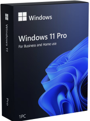 Windows 11 Pro Retail - ONLINE ICCW11PR_05 - cel.ro