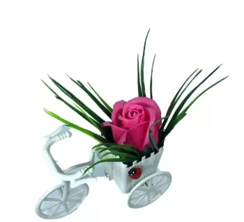 Aranjament Floral Bicicleta Trandafir Roz Inchis Parfumat Buburuza 
