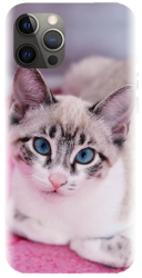 Husa din silicon compatibila cu Apple iPhone 13 Pro Max - model Siamese Kitty 