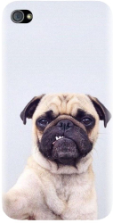Husa din silicon compatibila cu Apple iPhone 4 / 4S - model Simple Pug Selfie