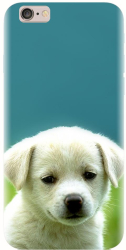 Husa din silicon compatibila cu Apple iPhone 5 / 5S / 5G / SE - model Puppy Style 