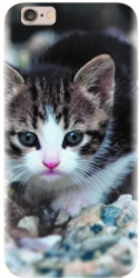 Husa din silicon compatibila cu Apple iPhone 6 Plus - model Animal Cat 