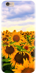 Husa din silicon compatibila cu Apple iPhone 6 Plus - model Sunflowers 