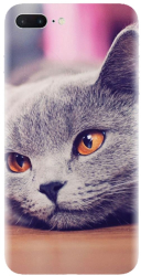 Husa din silicon compatibila cu Apple iPhone 7 Plus - model British Shorthair Cat