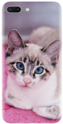 Husa din silicon compatibila cu Apple iPhone 7 Plus - model Siamese Kitty