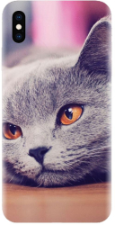 Husa din silicon compatibila cu Apple iPhone X - model British Shorthair Cat 