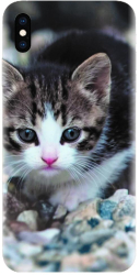 Husa din silicon compatibila cu Apple iPhone XS Max - model Animal Cat 