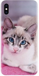 Husa din silicon compatibila cu Apple iPhone Xs - model Siamese Kitty 